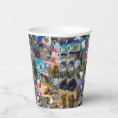 Guinea Schweinekollage, Pappbecher (Rechts)