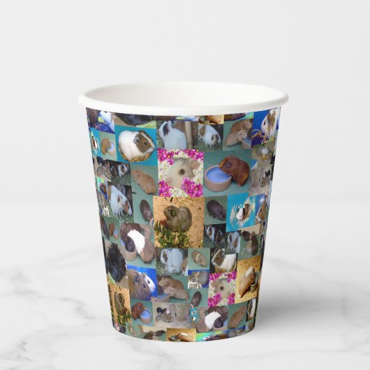 Guinea Schweinekollage, Pappbecher (Vorderseite)