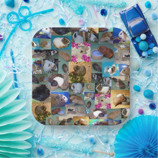 Guinea Schweinekollage, Pappteller (Party)