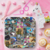 Guinea Schweinekollage, Pappteller (Party)