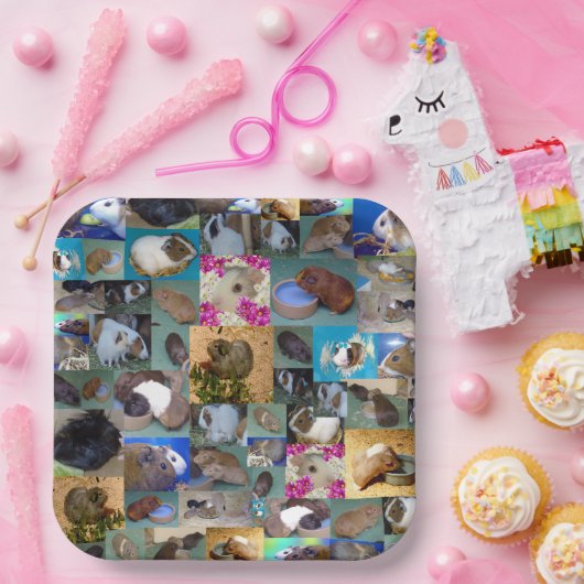 Guinea Schweinekollage, Pappteller (Party)