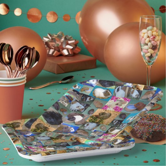 Guinea Schweinekollage, Pappteller (Multi)