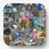 Guinea Schweinekollage, Pappteller (Vorderseite)