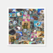 Guinea Schweinekollage, Serviette (Vorderseite)