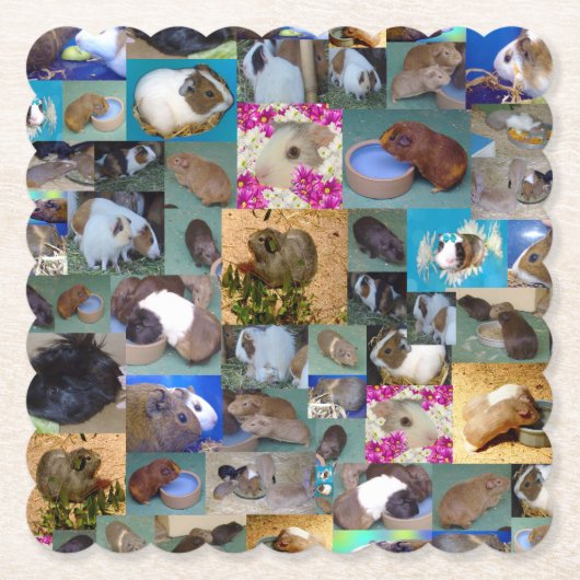 Guinea Schweinekollage, Untersetzer (Vorderseite)