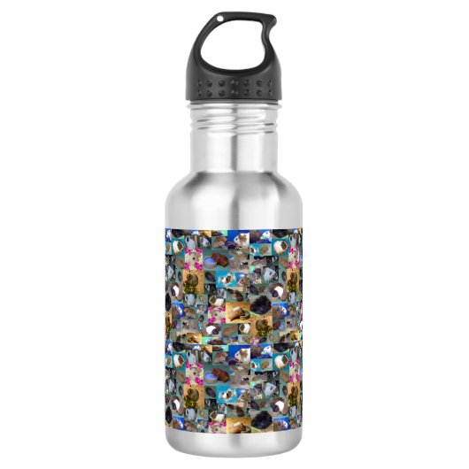 Guinea Schweinekollage, Wasserflasche (Vorderseite)