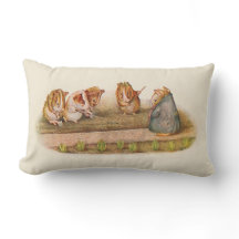 Guinea Schweinezuchtgarten