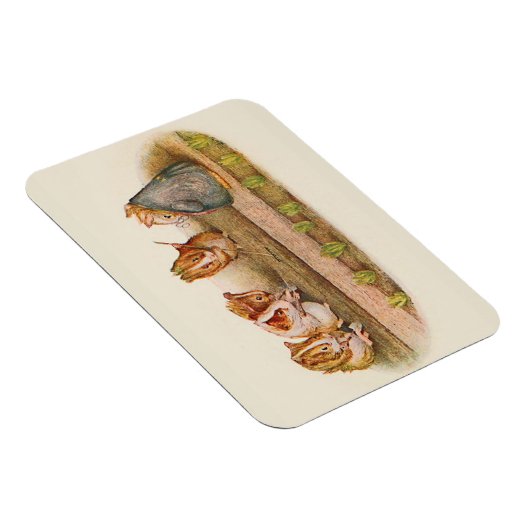 Guinea Schweinezuchtgarten Magnet (Rechte Seite)