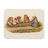 Guinea Schweinezuchtgarten Magnet (Horizontal)