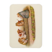 Guinea Schweinezuchtgarten Magnet (Vertikal)