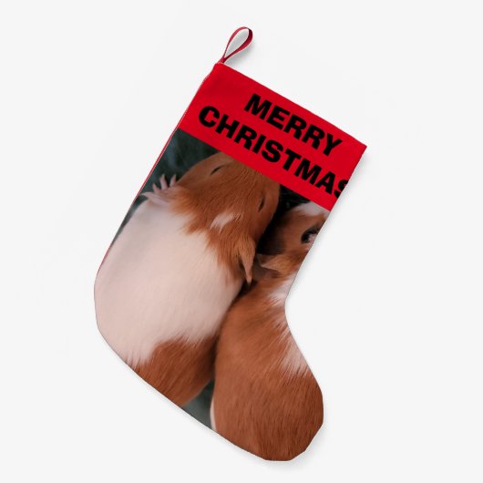 Guinea Strumpf Kleiner Weihnachtsstrumpf (Vorderansicht (hängend))