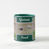 Guinea Tasse (Zentrum)