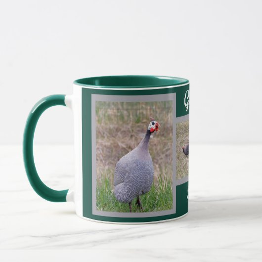 Guinea Tasse (Links)