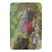 Guinea Turaco am Wasserfall Badematte (Vorderseite Vertikal)