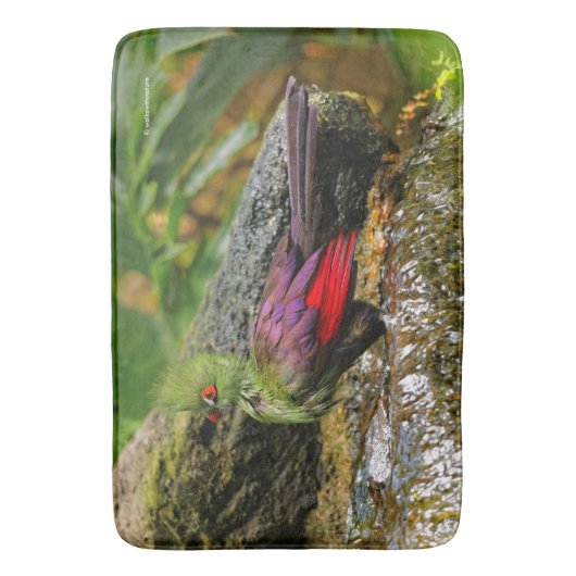 Guinea Turaco am Wasserfall Badematte (Vorderseite Vertikal)