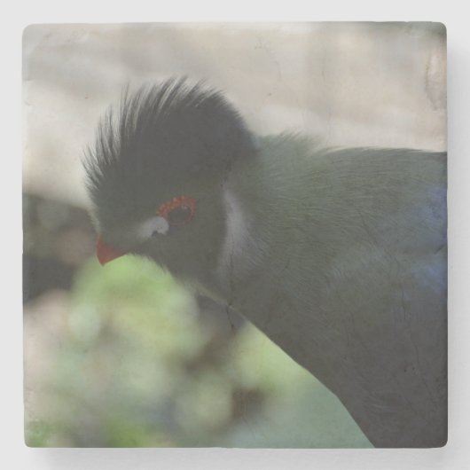 GUINEA TURACO MARBLE UNTERSETZER (Vorderseite)