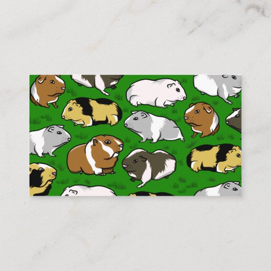 Guinea Visitenkarte (Rückseite)