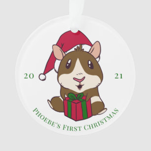 Guinea Weihnachtsfeiertag Personalisiert Ornament