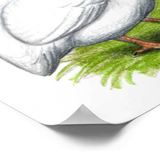 Guinea: weiß poster (Ecke)