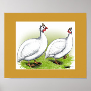 Guinea: weiß poster