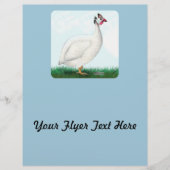 Guinea White Flyer (Vorne)