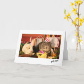 Guinea zum Geburtstag Schweine Karte (Gelbe Blume)