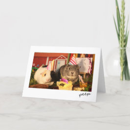 Guinea zum Geburtstag Schweine Karte