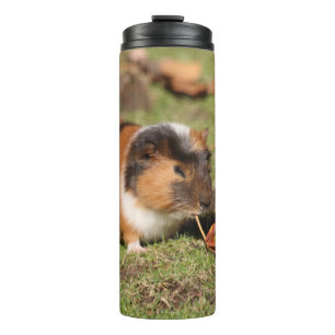 GuineaPig_20181001_by_JAMFoto Thermosbecher