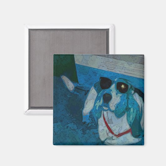 Guinness Cool Magnet (Vorderseite/Rückseite)