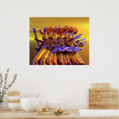 Guitar Frenzy Poster (Küche)