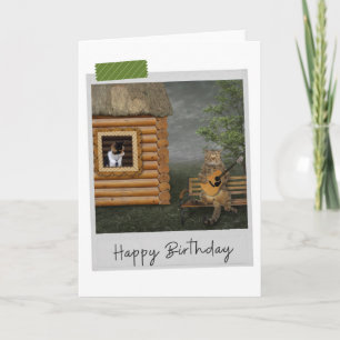 Guitar Serenade Cats Funny Birthday Card Karte