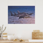 Guitar Shark Poster (Küche)