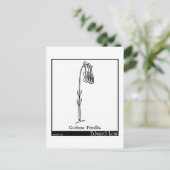 Guittara Pensilis. Postkarte (Stehend Vorderseite)