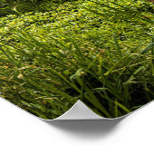 Guizhou, landschaftliche China, Poster (Ecke)