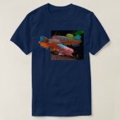 Gularis Killifish T-Shirt (Design vorne)