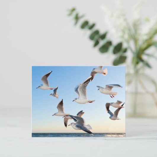 Gulden im Flug Postkarte (Stehend Vorderseite)