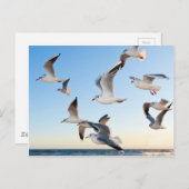 Gulden im Flug Postkarte (Vorne/Hinten)