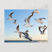 Gulden im Flug Postkarte (Vorderseite)