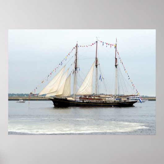 Gulden Leeuw Poster (Vorne)