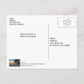 Gulf Breeze Florida Sunset Danke Postcard Postkarte (Rückseite)