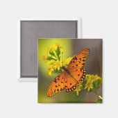 Gulf-Fritillarie oder Passionsfalter auf Goldrute Magnet (Vorderseite/Rückseite)