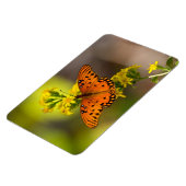 Gulf-Fritillarie oder Passionsfalter auf Goldrute Magnet (Linke Seite)