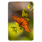 Gulf Fritillary aka Passion Butterfly on Goldenrod Magnet (Vertikal)
