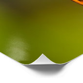 Gulf Fritillary aka Passion Butterfly on Goldenrod Poster (Ecke)