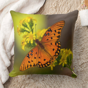Gulf-Fritillary auch Passionsfalter auf Goldrute Kissen