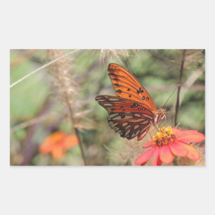 Gulf-Fritillary auf Zinnia Rechteckiger Aufkleber