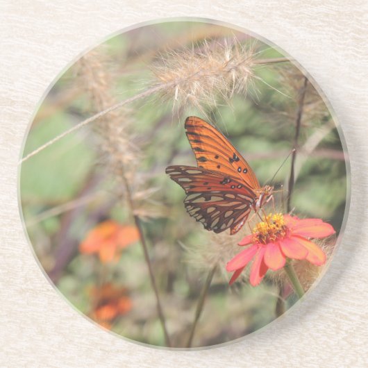 Gulf-Fritillary auf Zinnia Untersetzer (Vorne)