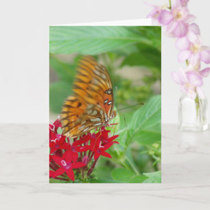 Gulf Fritillary Butterfly auf der Red Penta Blume Karte