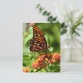 Gulf Fritillary Butterfly Postcard Postkarte (Stehend Vorderseite)