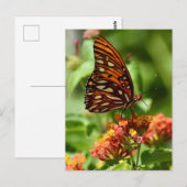 Gulf Fritillary Butterfly Postcard Postkarte (Vorne/Hinten)